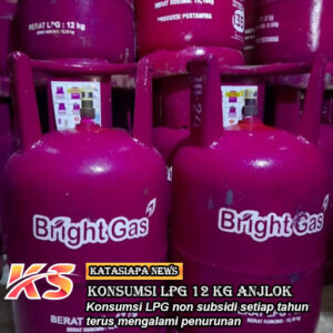 Konsumsi LPG 12 Kg Anjlok Kantong Warga RI Kian Tipis