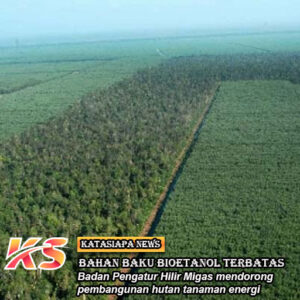 Bahan Baku Bioetanol Terbatas, Perluas Hutan Tanaman Energi