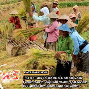 Petani Minta Harga Gabah Naik Rp2.000/ Kg