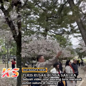 Turis Indonesia Rusak Bunga Sakura di Jepang